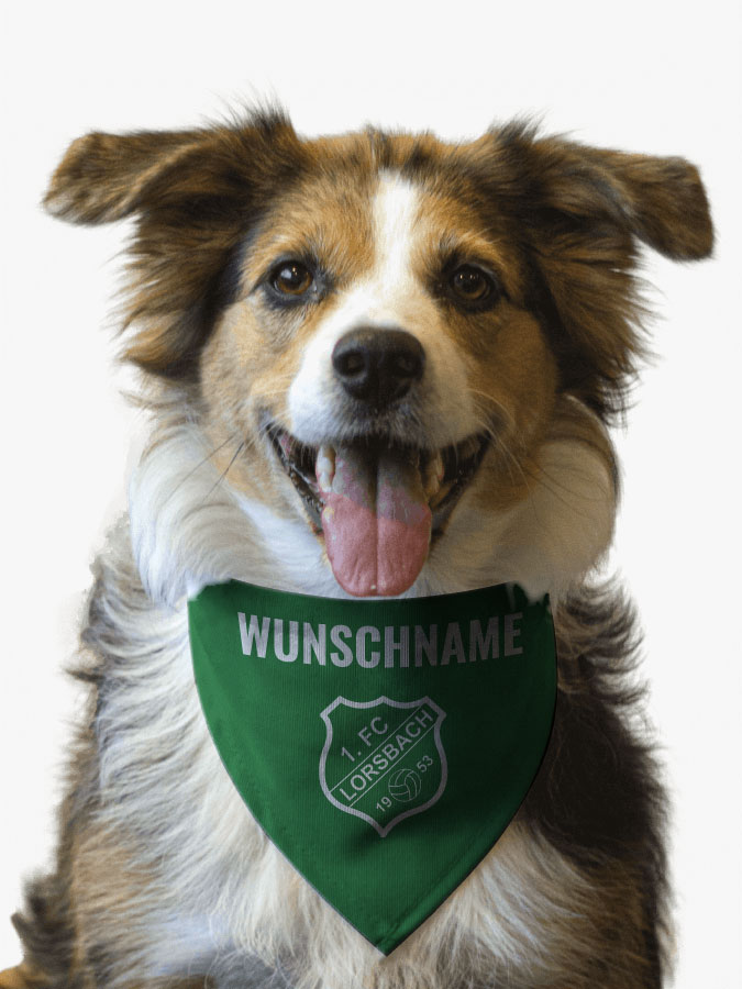 Hundehalstuch