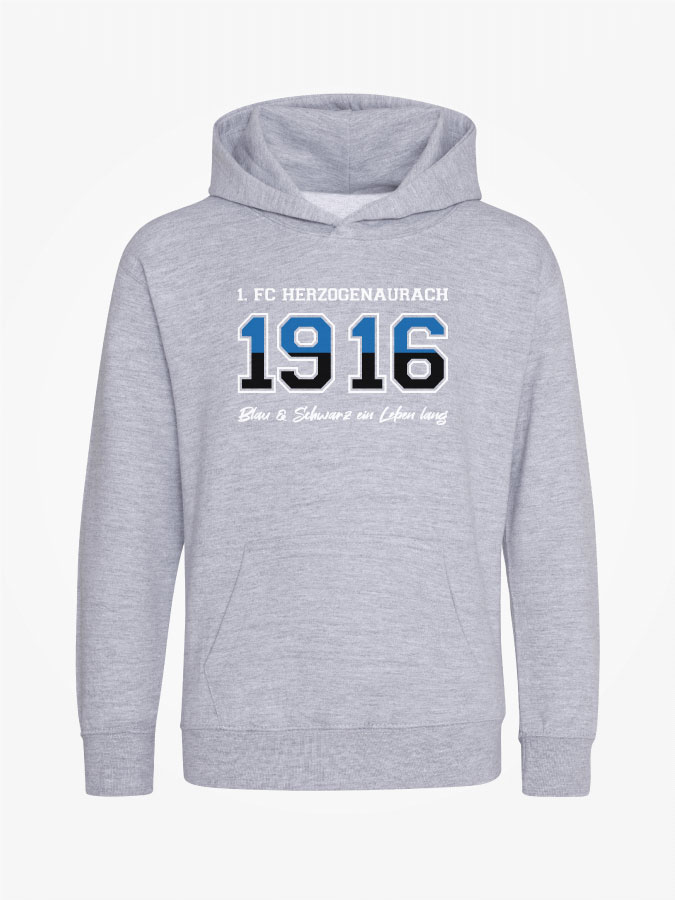 Hoodie Established Kids