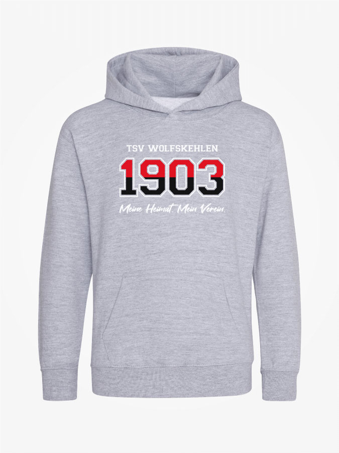 Hoodie Established Kids