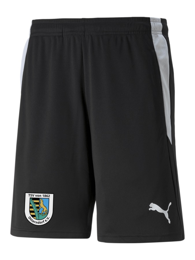 PUMA teamLIGA Referee Shorts