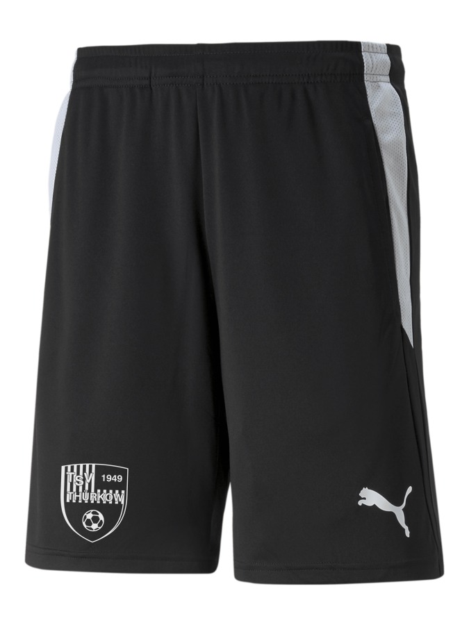 PUMA teamLIGA Referee Shorts