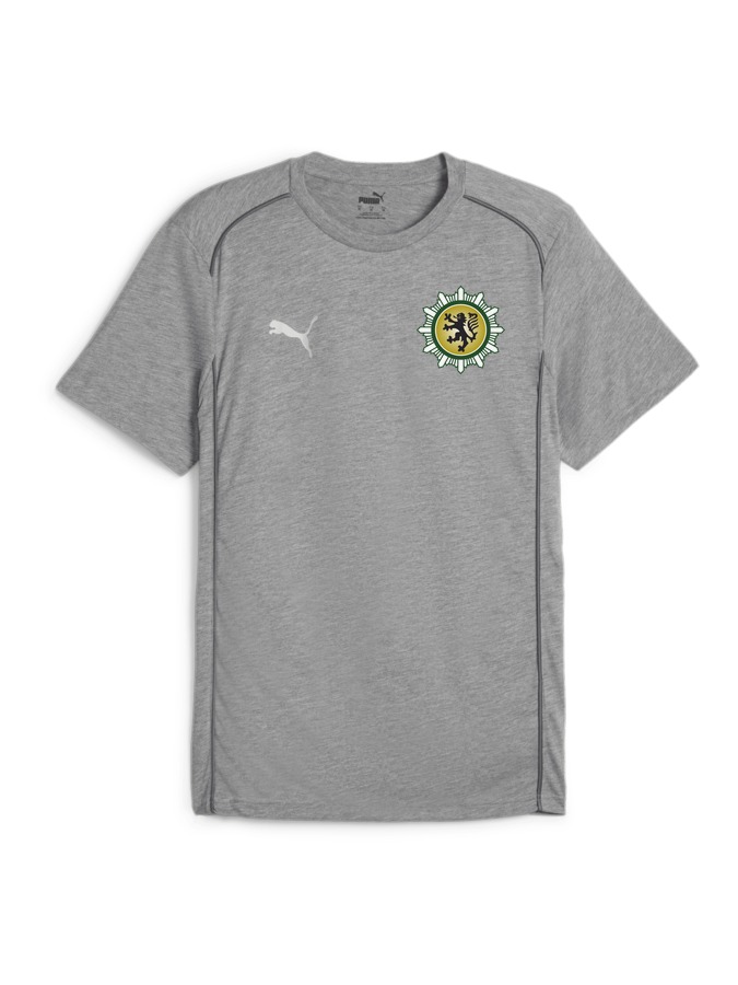 PUMA teamFINAL Casuals T-Shirt