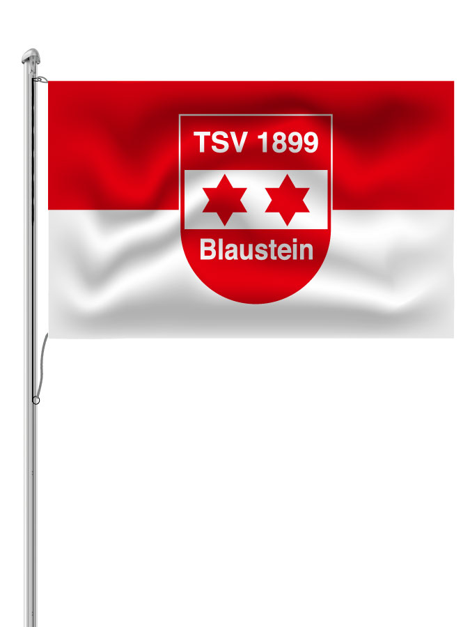 Hissfahne Logo