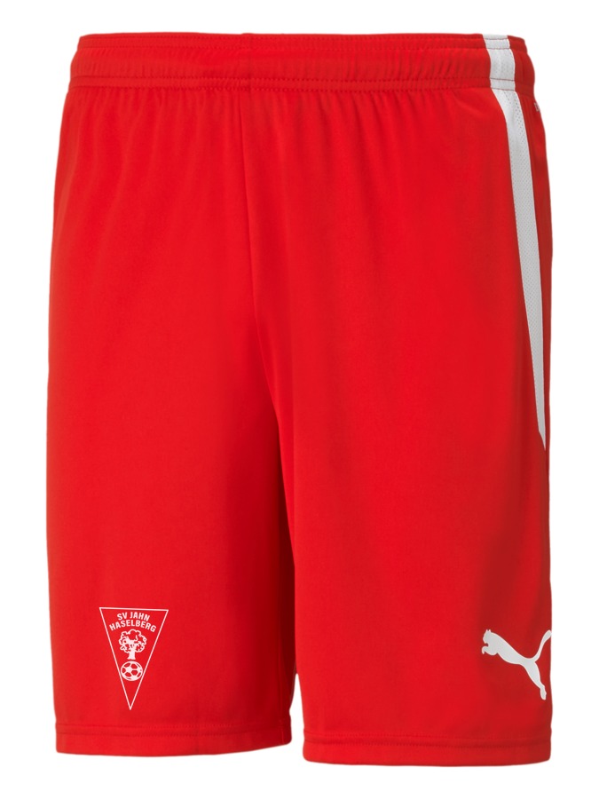 PUMA teamLIGA Shorts