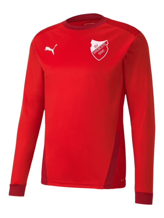PUMA teamGOAL 23 Longsleeve