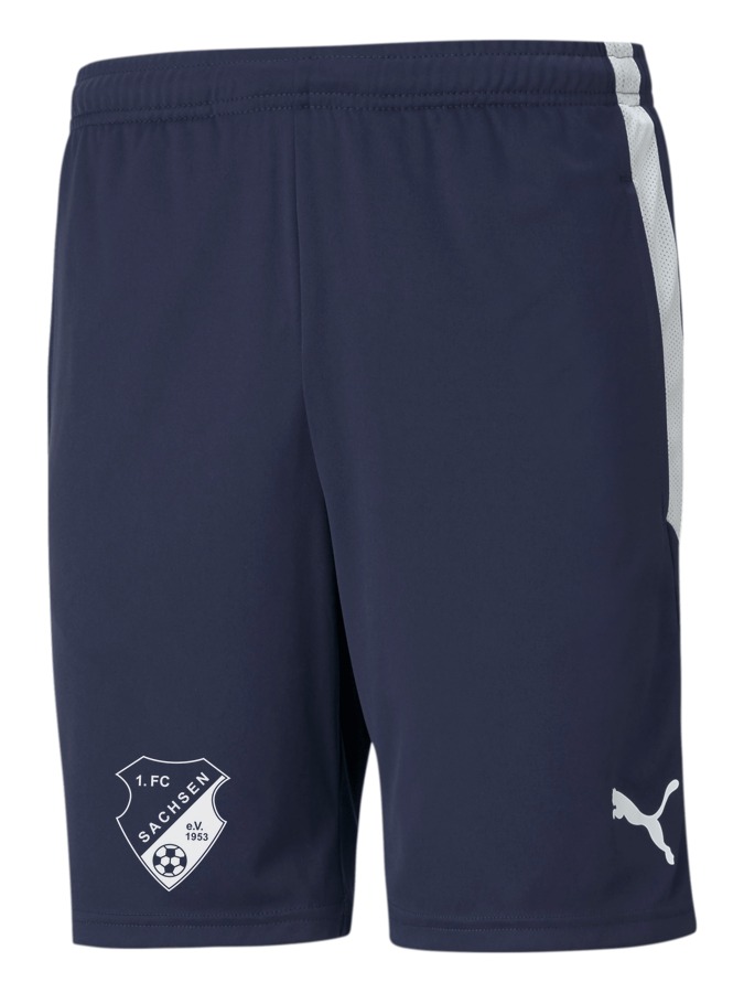 PUMA teamLIGA Training Shorts