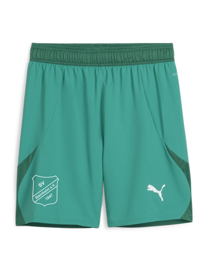 PUMA teamFINAL Shorts