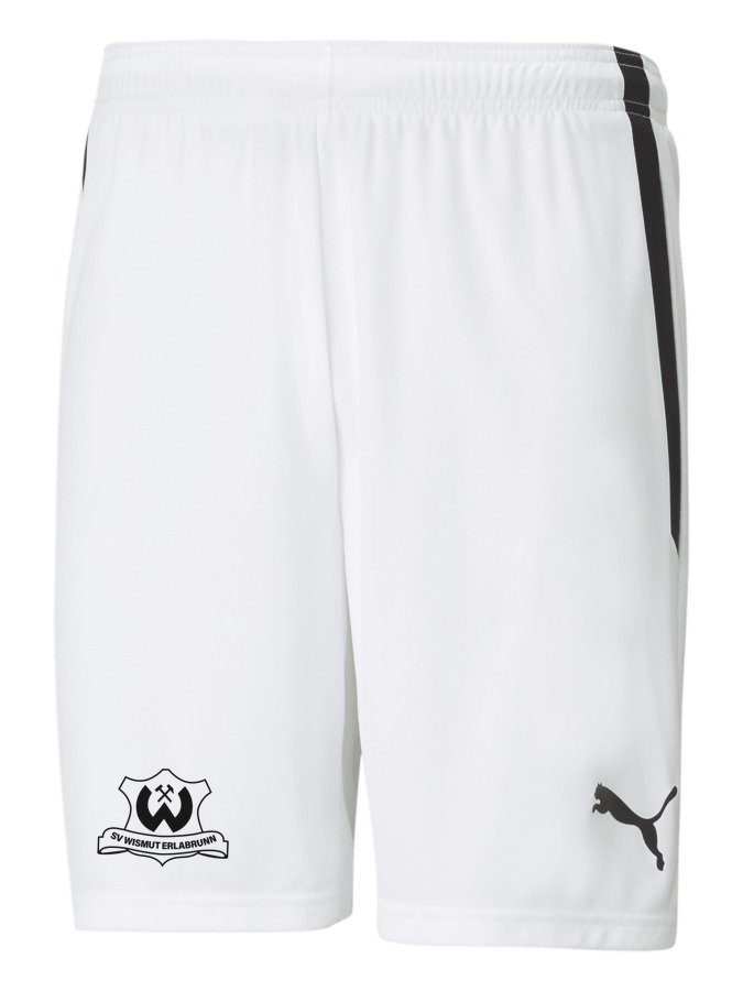 PUMA teamLIGA Shorts