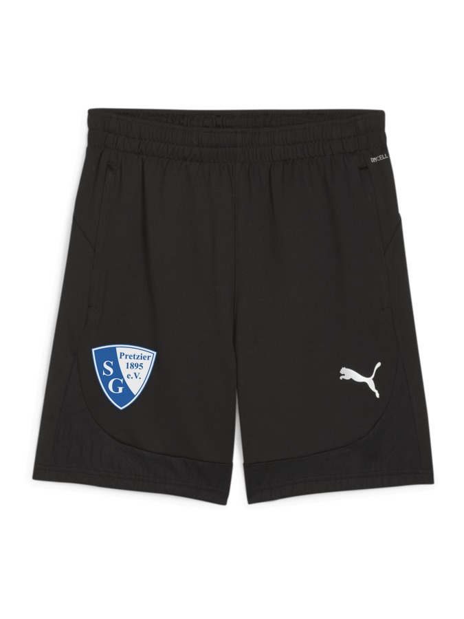 PUMA teamFINAL Training Shorts