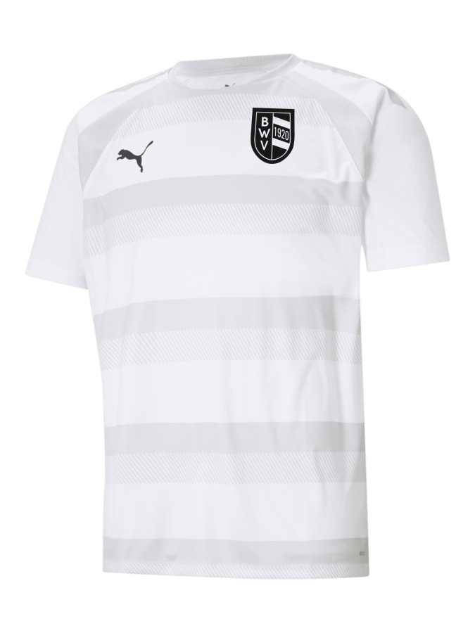 PUMA teamVISION Trikot
