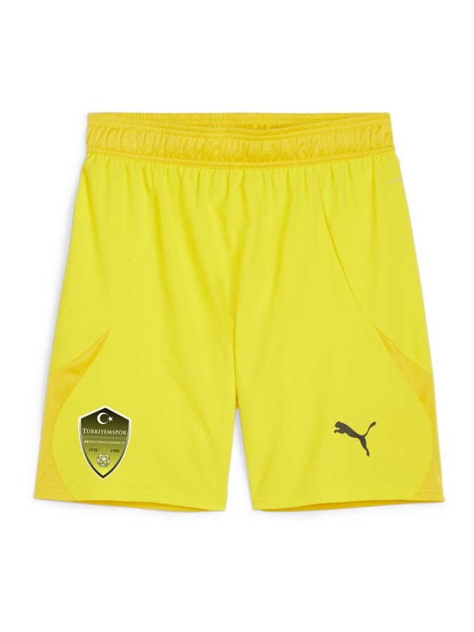 PUMA teamFINAL Shorts