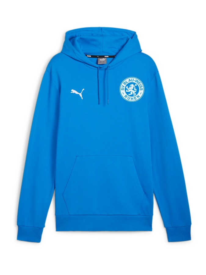PUMA teamGOAL Casuals Hoody