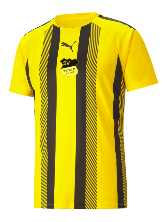PUMA teamLIGA Striped Trikot