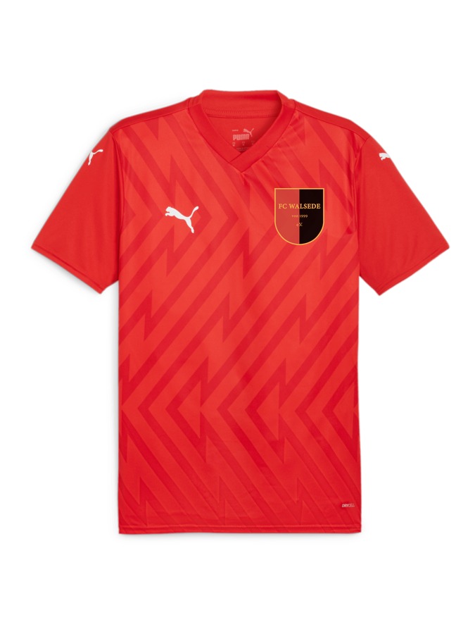 PUMA teamGLORY Trikot