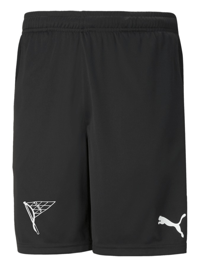 PUMA teamRISE Training Shorts