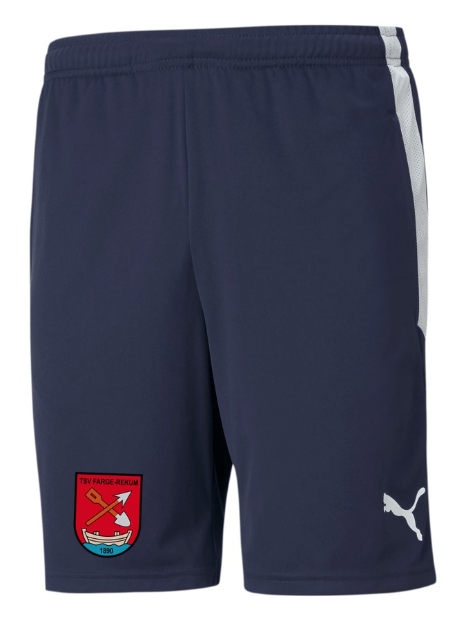 PUMA teamLIGA Training Shorts