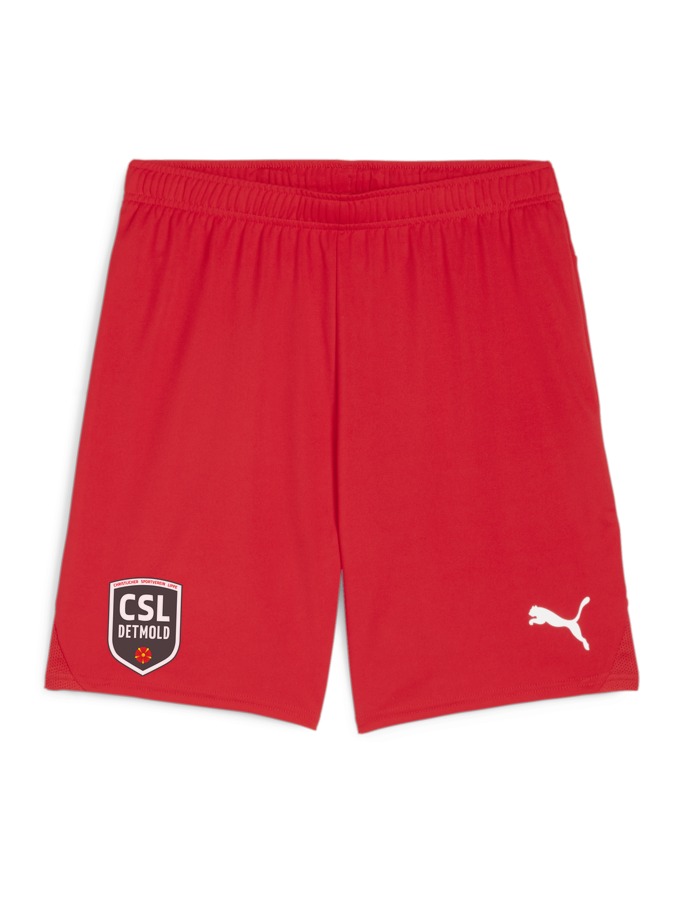 PUMA teamGOAL Shorts