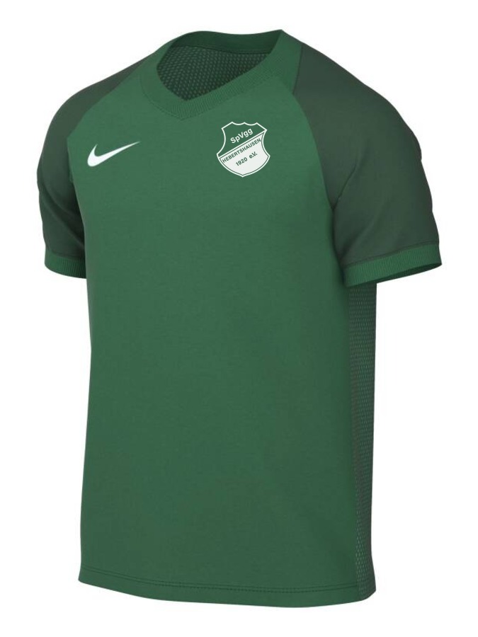 Nike Trophy VI Trikot Kinder