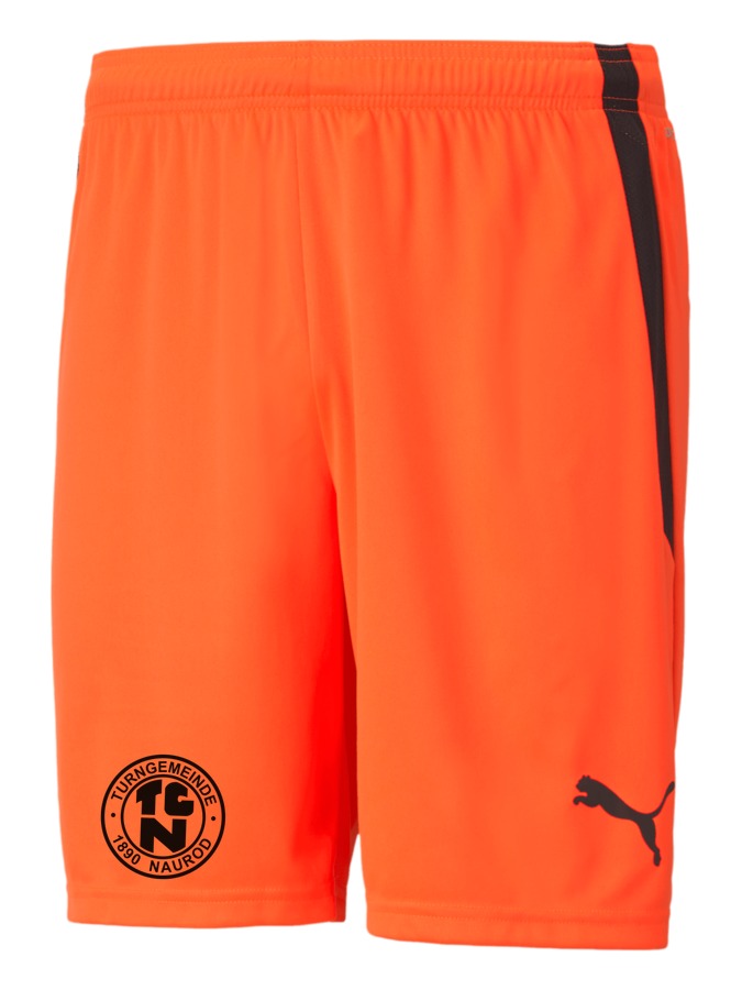 PUMA teamLIGA Shorts