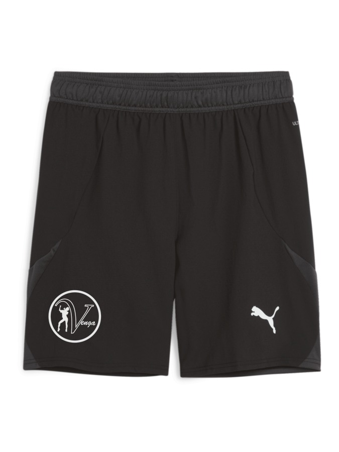 PUMA teamFINAL Shorts