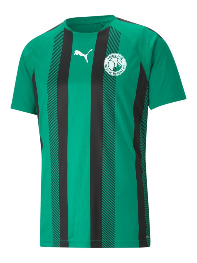 PUMA teamLIGA Striped Trikot