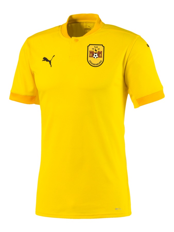 PUMA teamFINAL 21 Trikot
