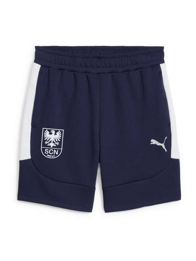 PUMA teamEVOSTRIPE Shorts