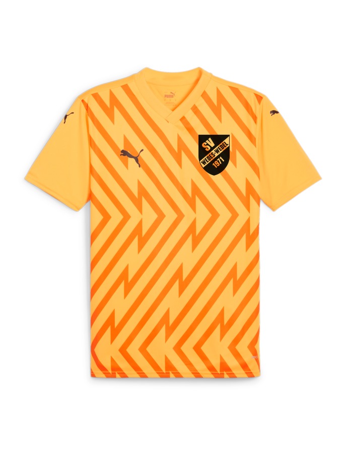 PUMA teamGLORY Trikot