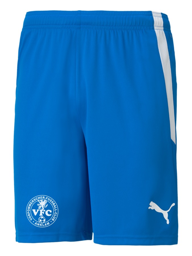 PUMA teamLIGA Shorts