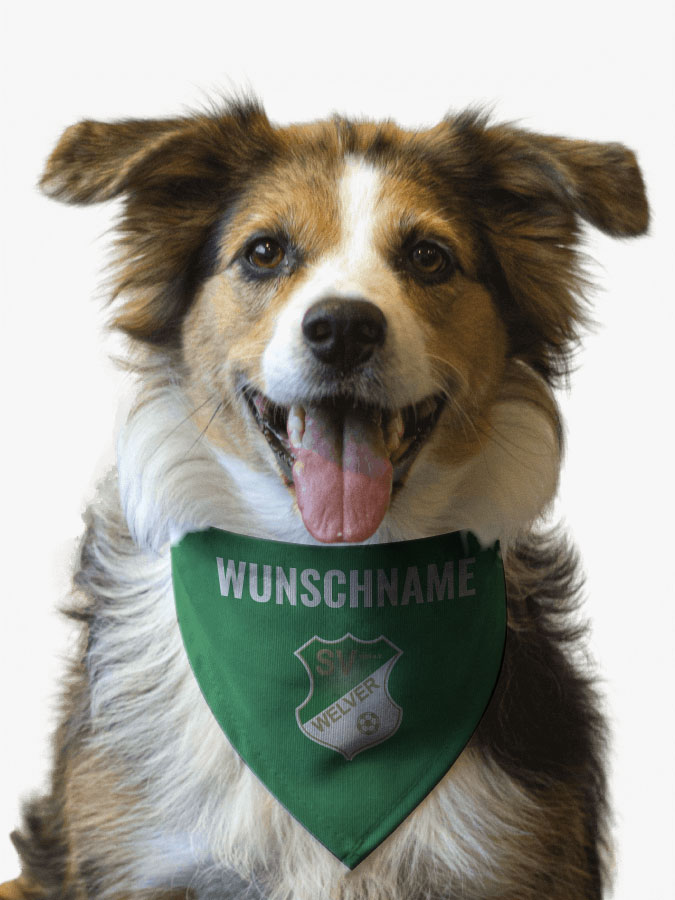 Hundehalstuch