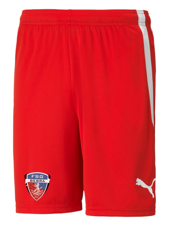 PUMA teamLIGA Shorts