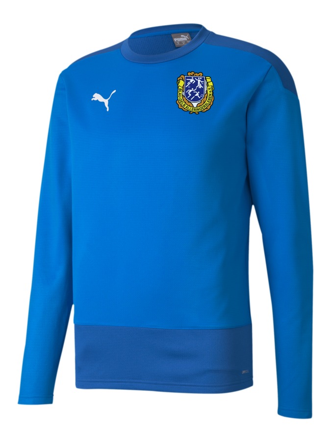 PUMA teamGOAL 23 Training Sweatshirt