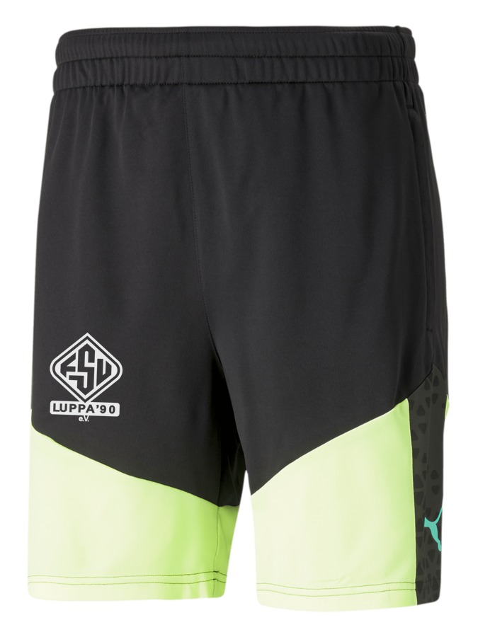 PUMA individualCUP Training Shorts