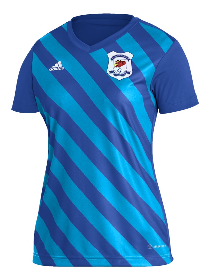 adidas Entrada 22 GFX Trikot Damen