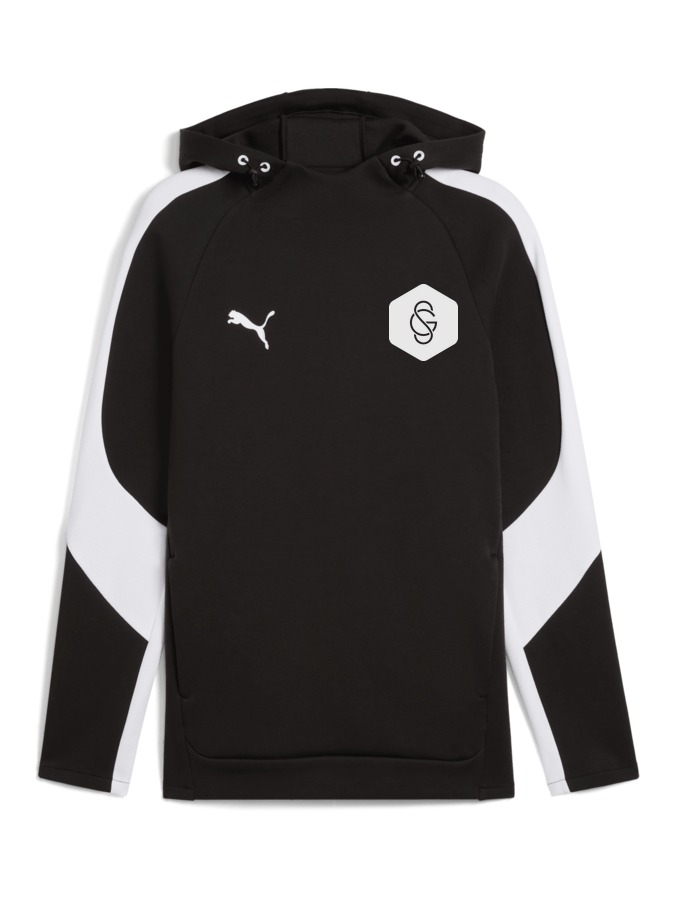 PUMA teamEVOSTRIPE Hoody