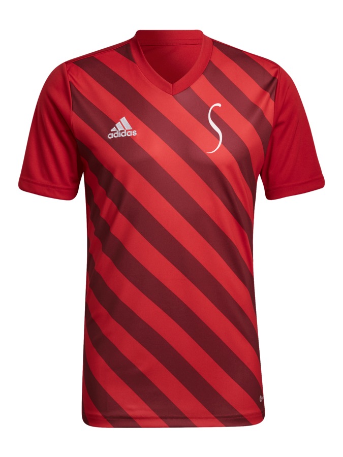 adidas Entrada 22 GFX Trikot