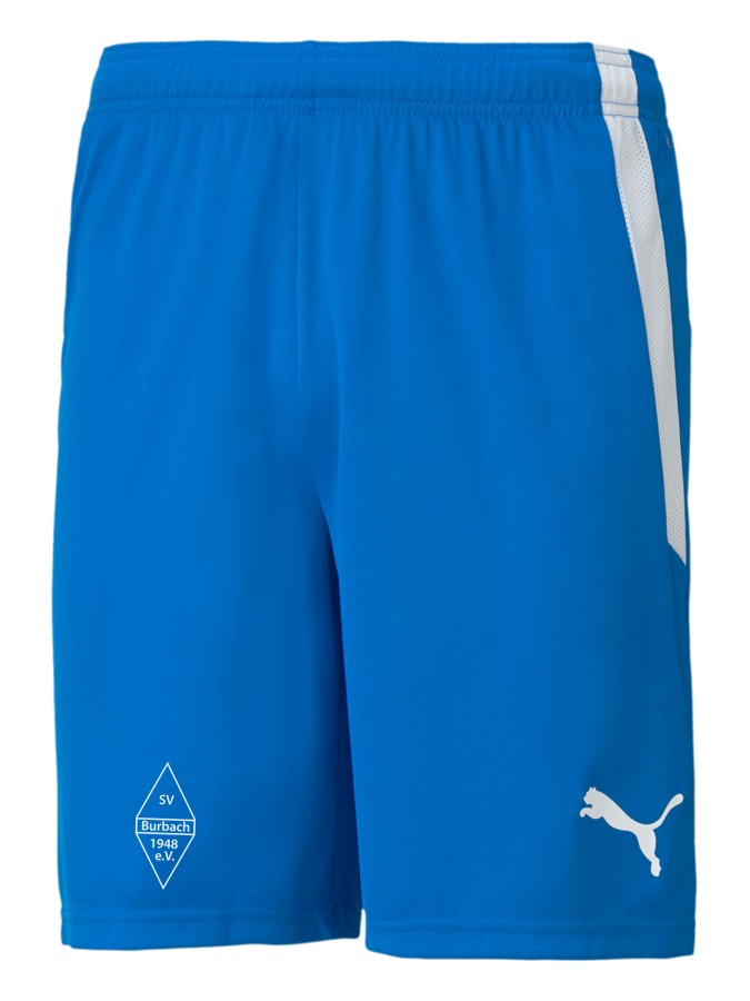 PUMA teamLIGA Shorts