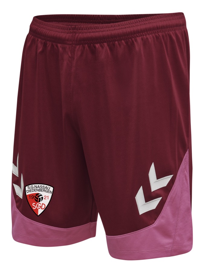 Hummel Lead Trainingsshorts