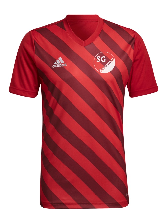 adidas Entrada 22 GFX Trikot