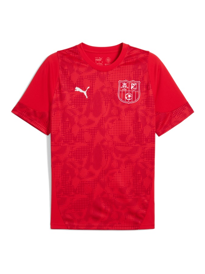 PUMA teamCUP Trainingsshirt