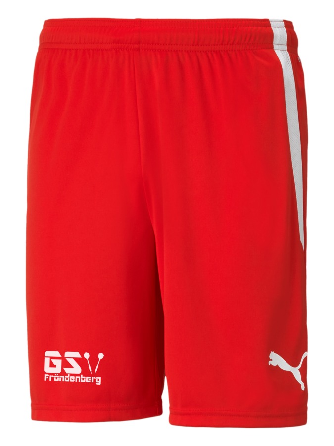 PUMA teamLIGA Shorts