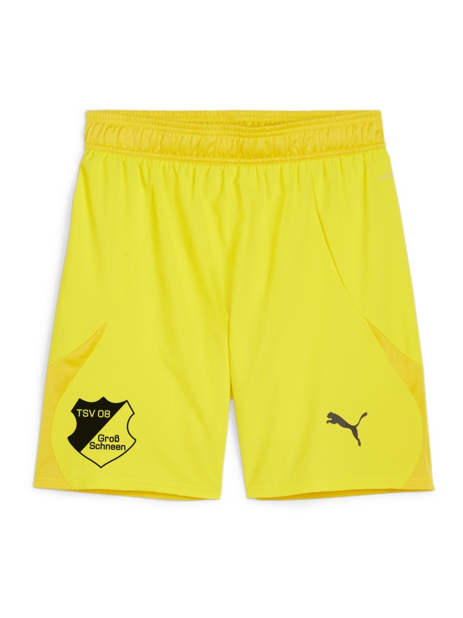 PUMA teamFINAL Shorts