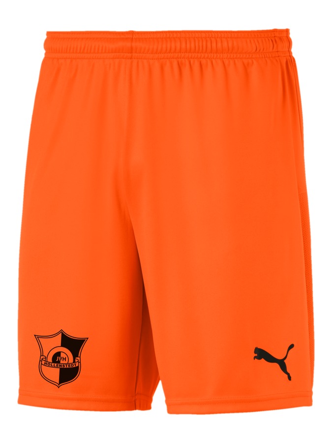 PUMA teamGOAL 23 Knit Shorts