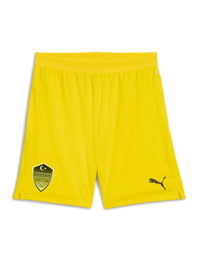 PUMA teamCUP Shorts