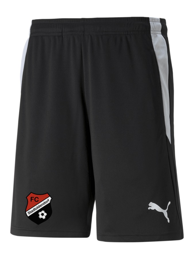 PUMA teamLIGA Referee Shorts