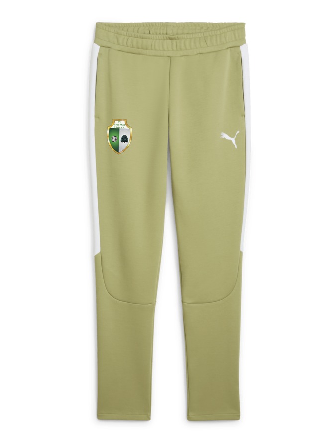 PUMA teamEVOSTRIPE Hose