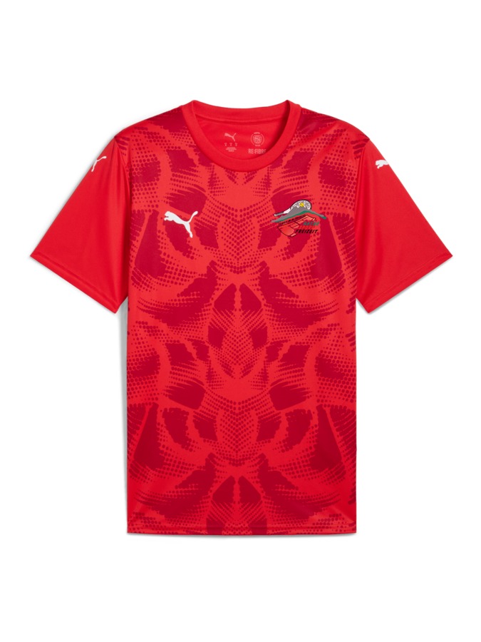 PUMA teamULTIMATE Trikot