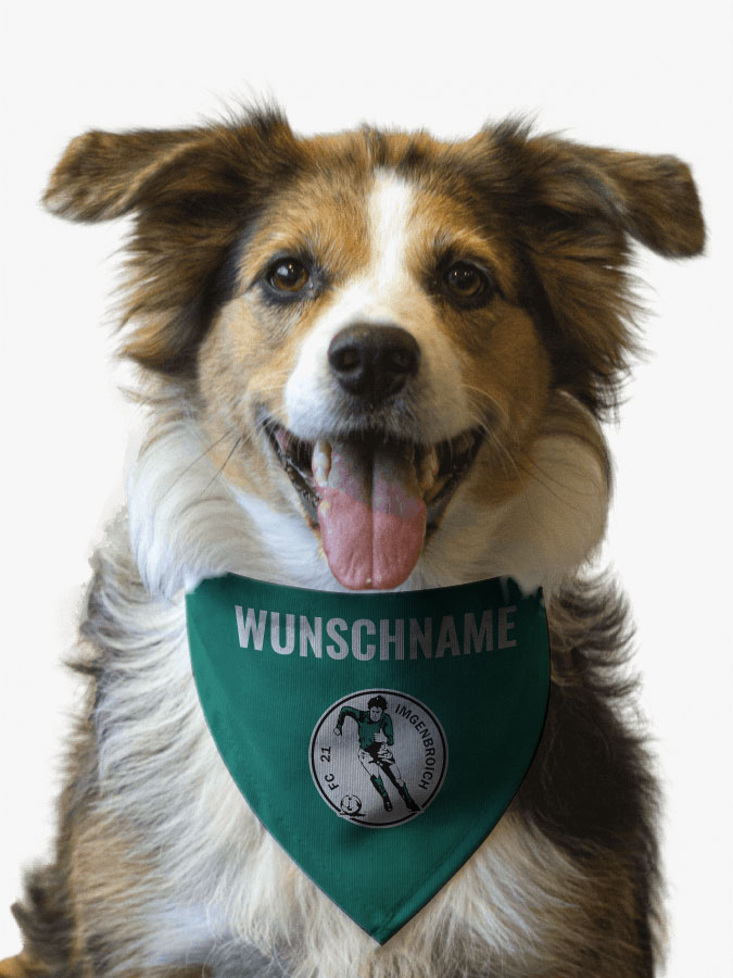Hundehalstuch