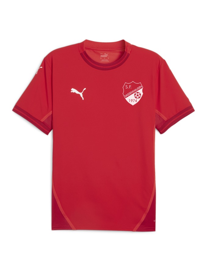 PUMA teamFINAL Trikot