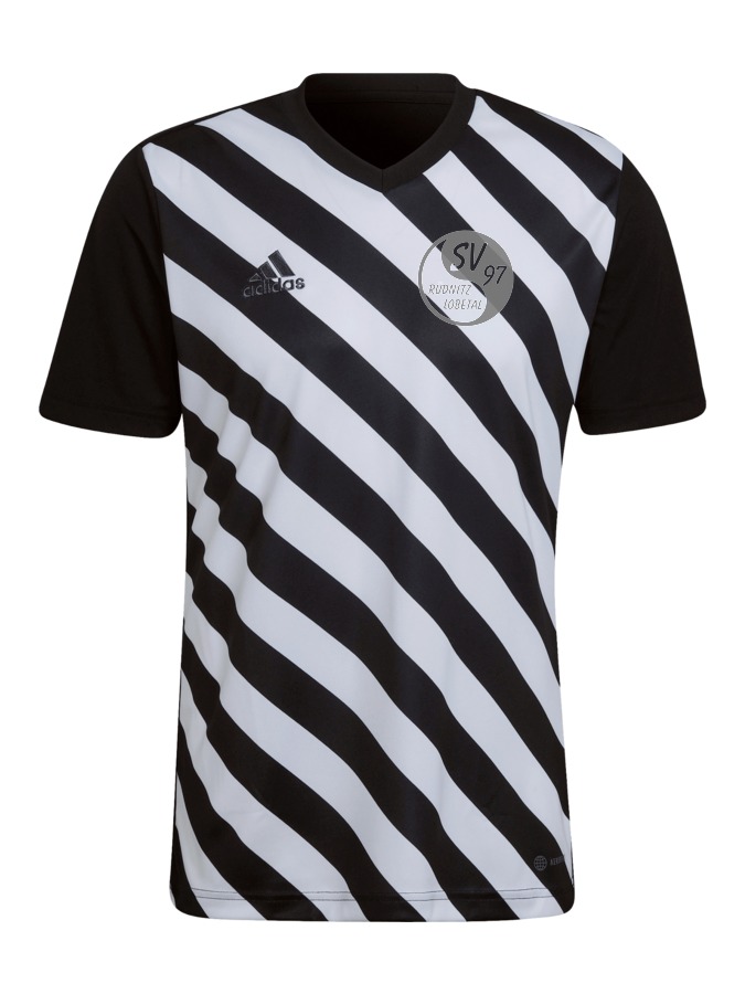 adidas Entrada 22 GFX Trikot